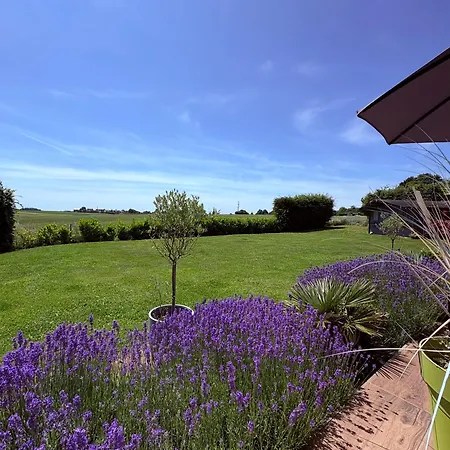 L'echappee Belle By J&j Durbuy Area Casa de Férias *